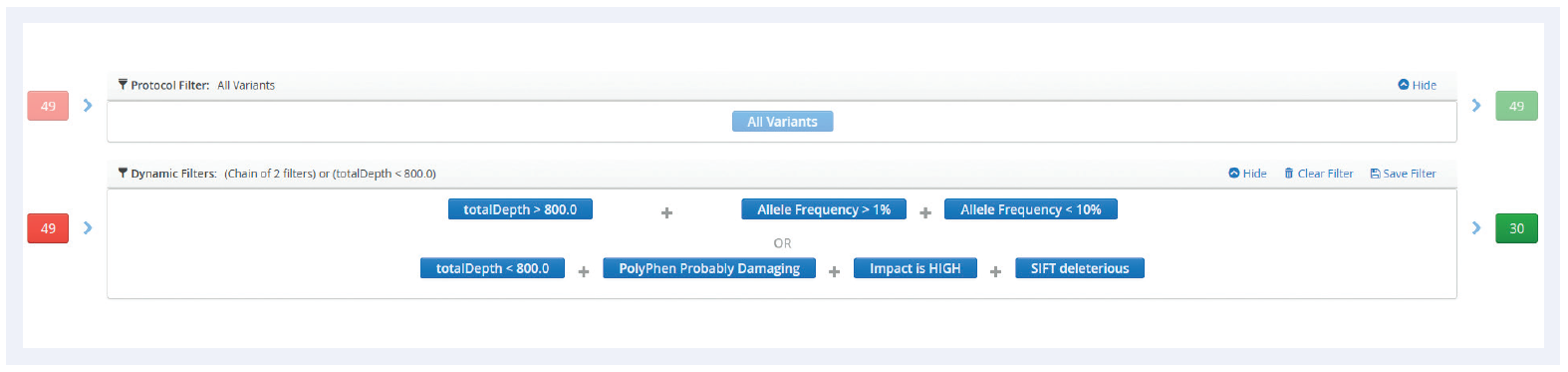 A schematic showing the two-level filtering available within Interpret NGS Analysis Software.