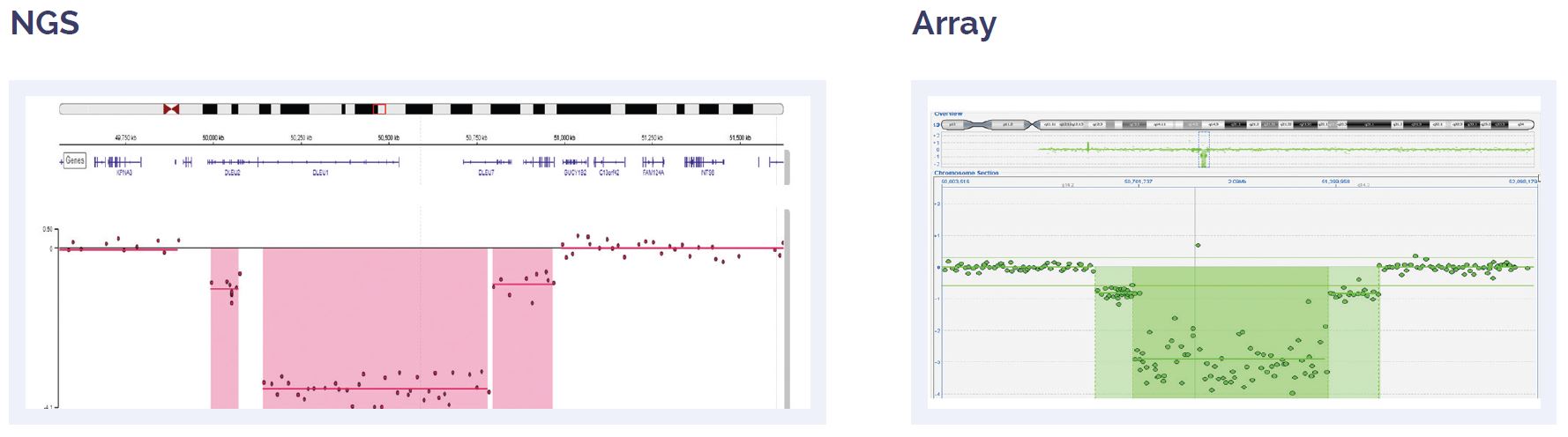 Software data showing the concordance between aCGH and NGS results for a 0.6Mb biallelic loss.