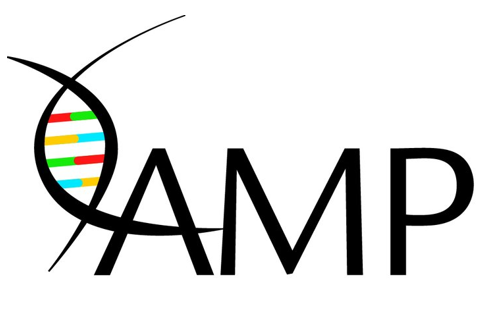 AMP: Annual Meeting & Expo 2026 Image