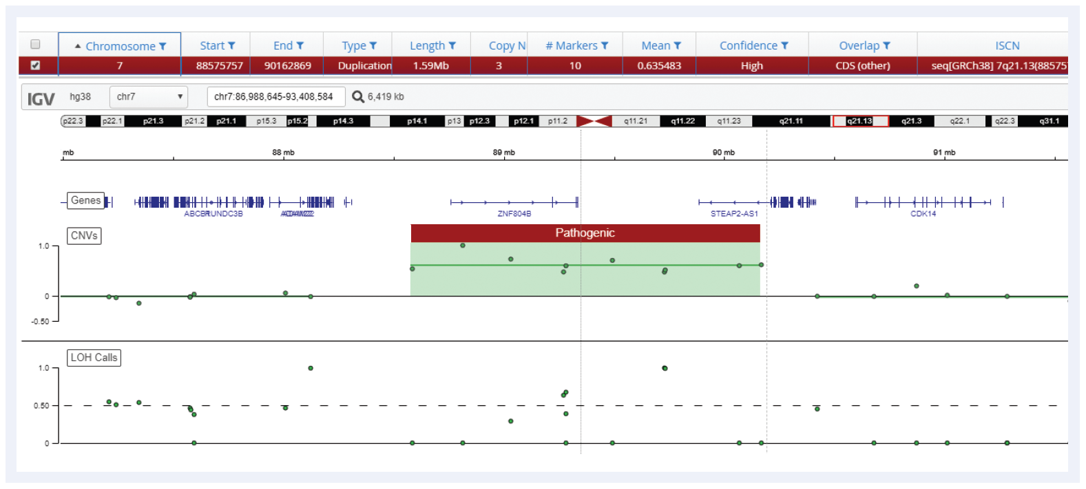 Next generation sequencing (NGS) software data showing a 1.59 Mb duplication on chromosome 7.
