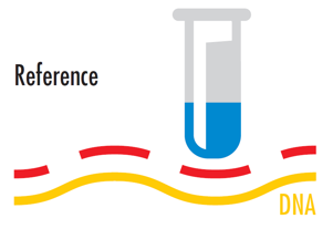 Reference DNA