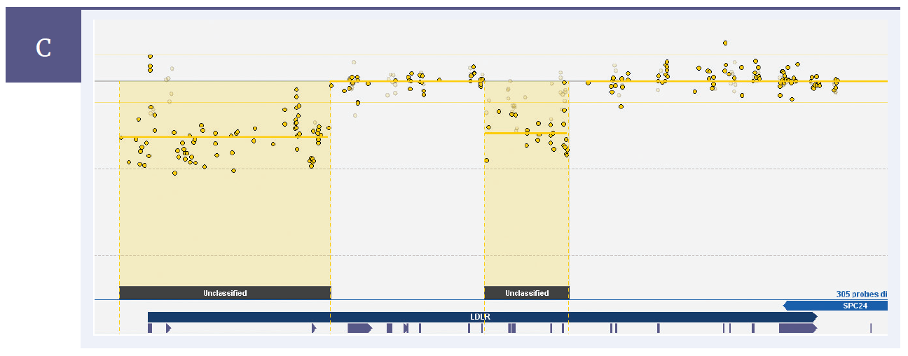 Next generation sequencing (NGS) software data showing a deletion of 2 exons and 4 exons.
