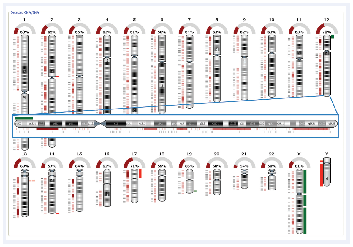Schematic showing the automated SNP detection and LOH calling with CytoSure Interpret Software for aCGH analysis.
