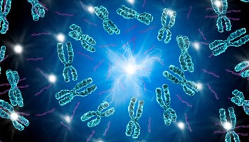 Chromosomes