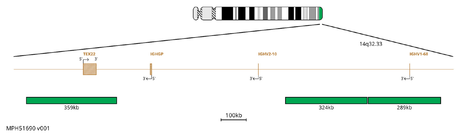 Fluorescence in situ hybridisation (FISH) chromosome map showing probes targeting the IGH region.