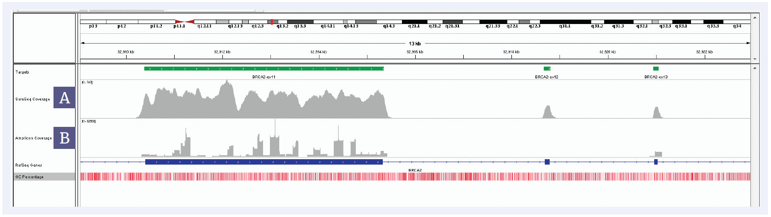 NGS software data showing a coverage comparison between a SureSeq and a Amplicon panel for BRCA2 exons 11, 12 and 13.