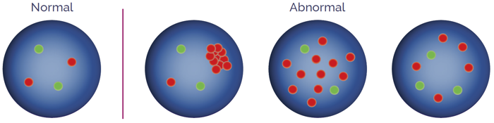 Amplification probes