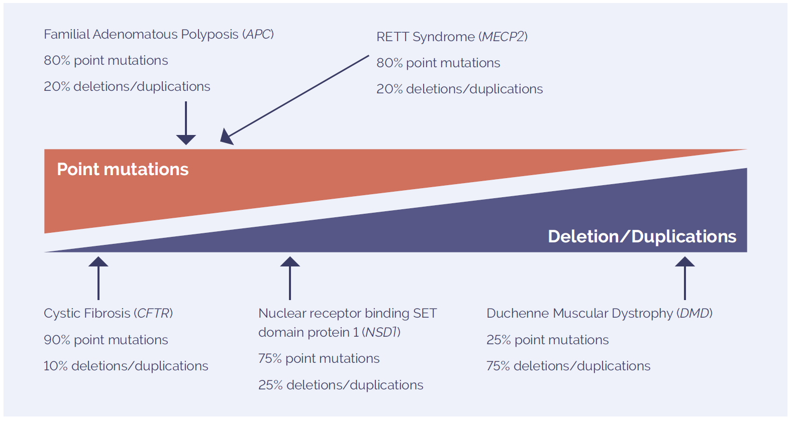 Schematic showing the mutation spectrum of molecular disorders, which includes point mutations, deletions and duplications.