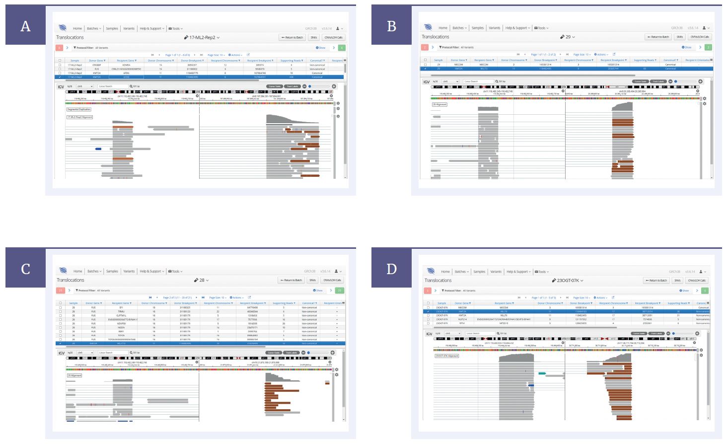 NGS software data showing identification of canonical fusions such as KMT2A-AFDN and novel fusions such as KMT2A-MLLT10.
