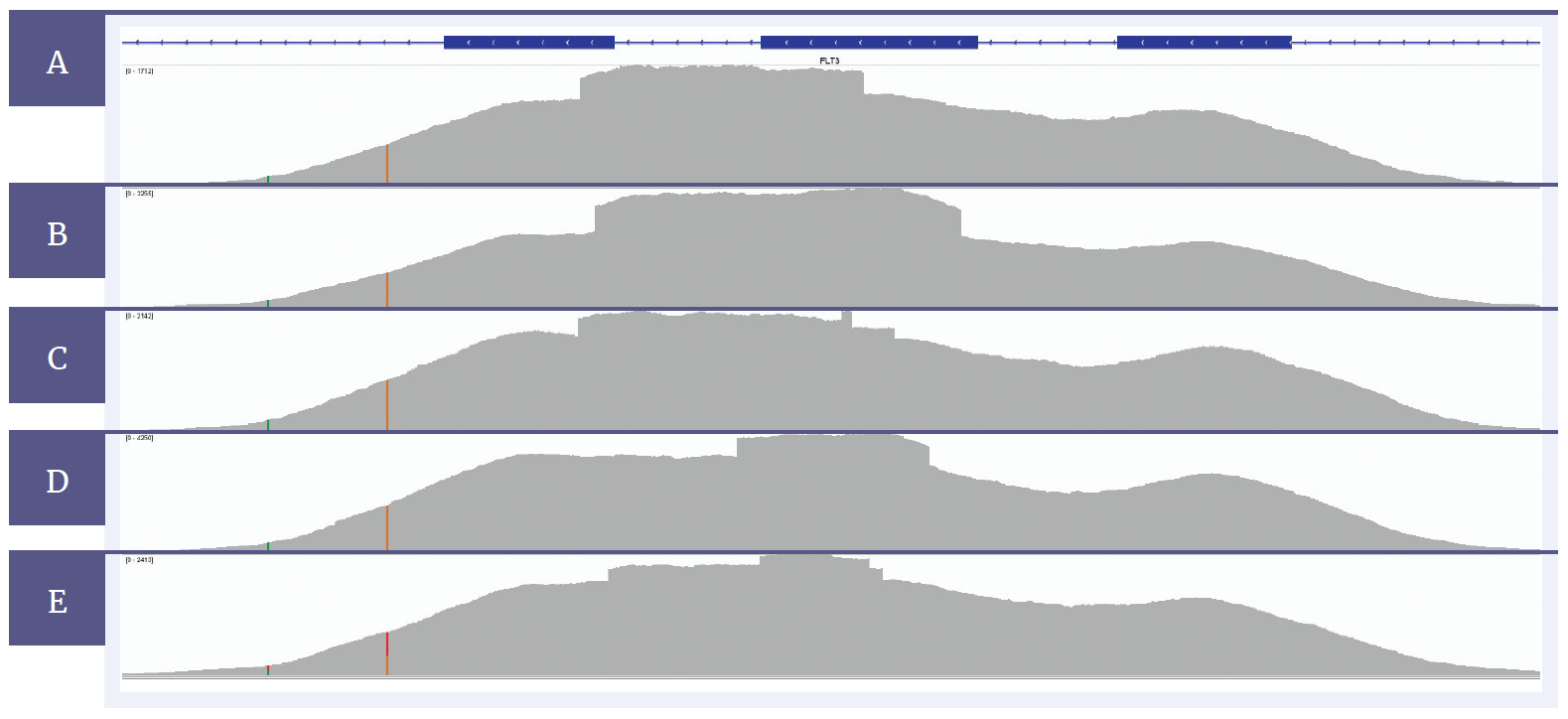 Next generation sequencing (NGS) software data showing that FLT3 ITDs can be confidently detected with SureSeq.