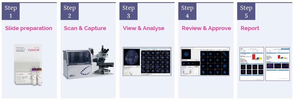 ASI End-to-end automated FISH analysis solution, simplified