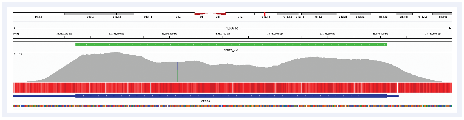 Next generation sequencing (NGS) software data showing SureSeq