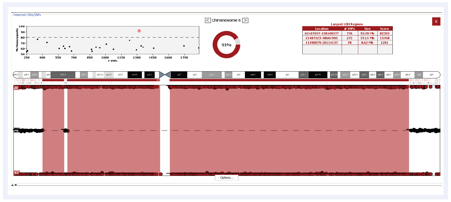 aCGH software data showing a sample with extensive regions of loss of heterozygosity (LOH) on chromosome 6.