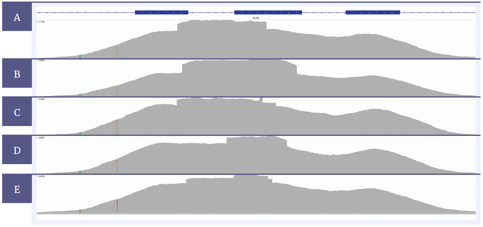 Next generation sequencing (NGS) software data showing detection of FLT3-ITDs of various sizes.