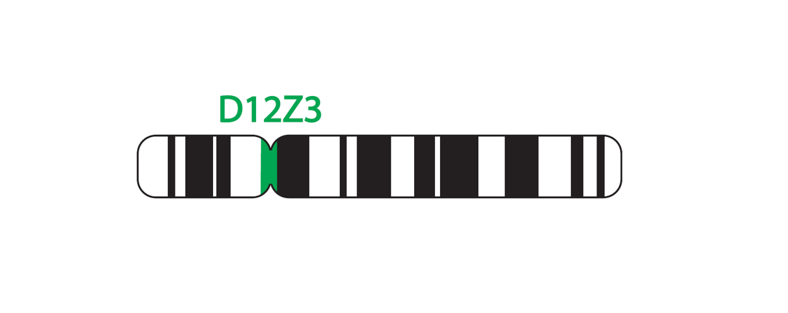 Fluorescence in situ hybridisation (FISH) chromosome map showing a probe targeting the region 12cen.