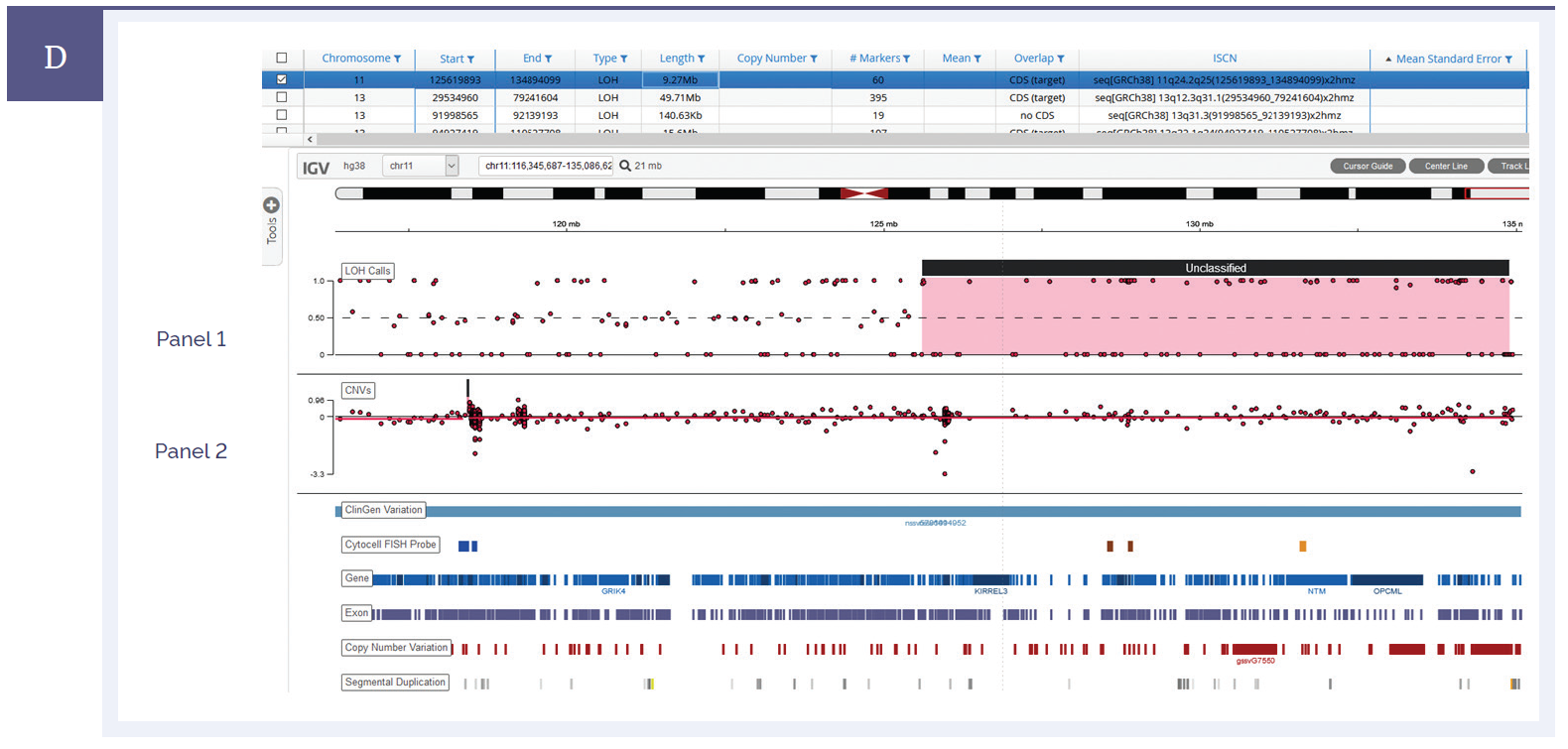 Next generation sequencing (NGS) software data showing a consanguineous sample with a stretch of CN-LOH on chromosome 11.