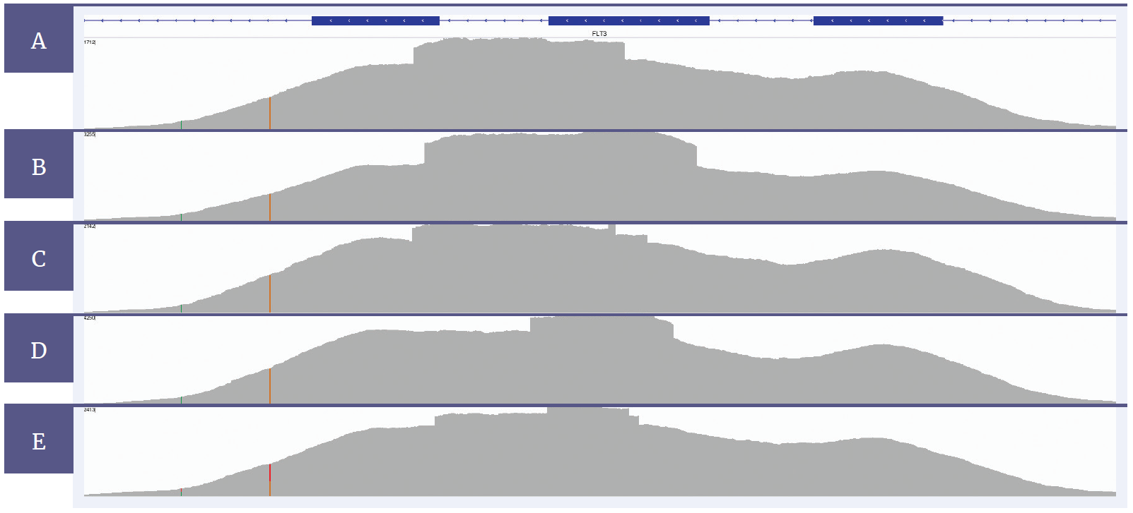 Next generation sequencing (NGS) software data showing that FLT3 ITDs can be confidently detected with SureSeq.