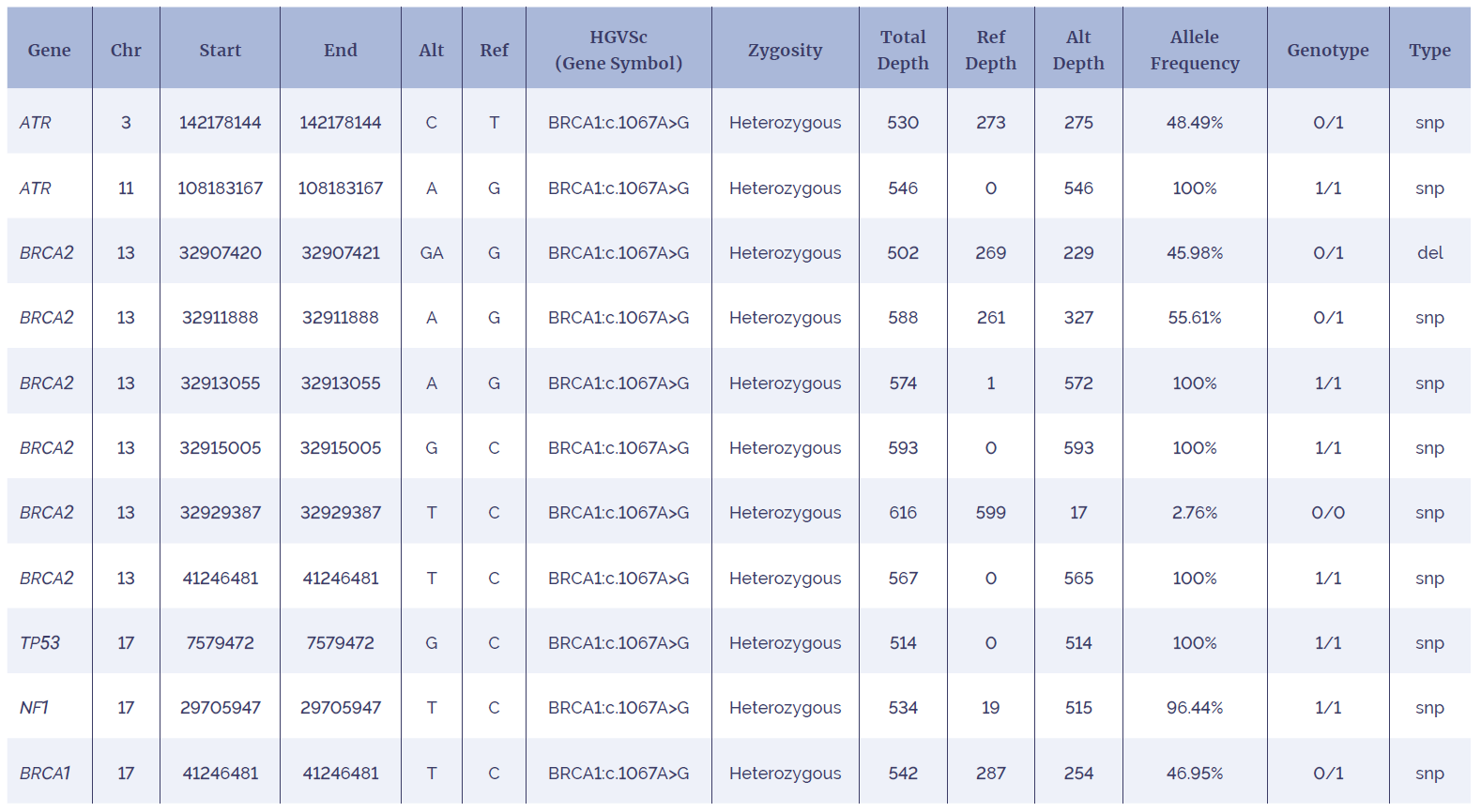 An example of a batch analysis report generated by Interpret Next Generation Sequencing (NGS) Analysis Software.