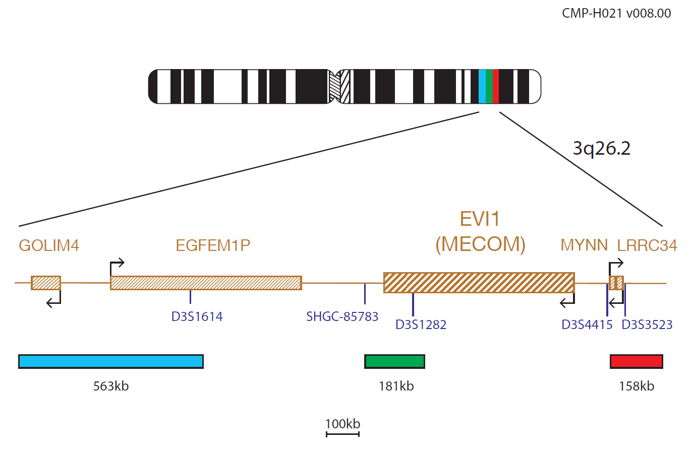 Fluorescence in situ hybridisation (FISH) chromosome map showing a probe targeting the EVI1 (MECOM) gene.