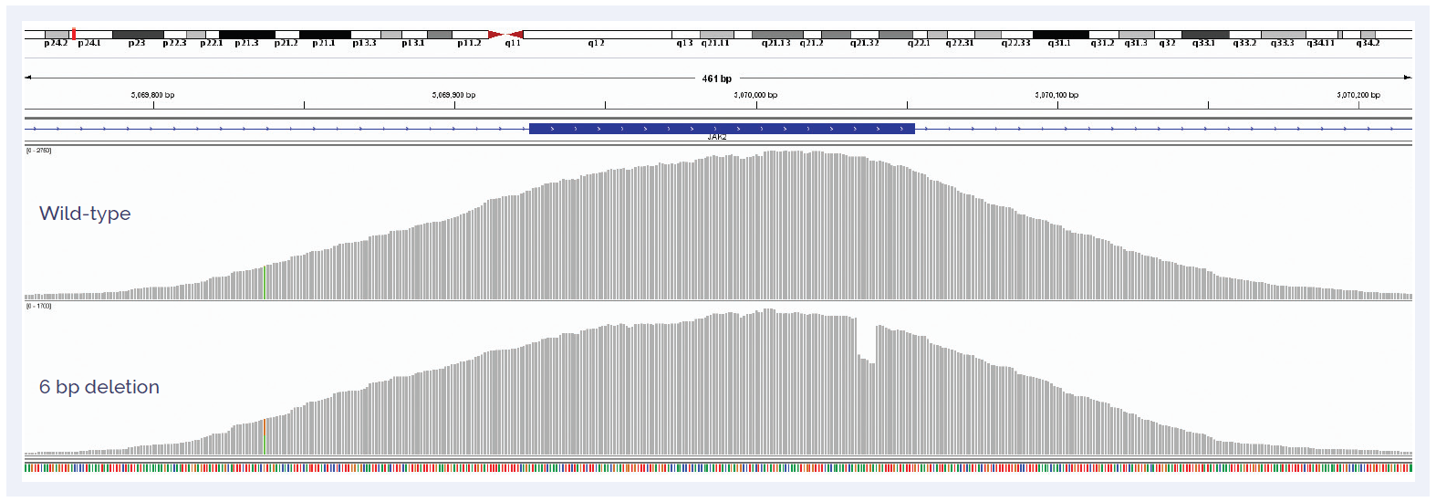NGS software data showing detection of a 6 bp deletion in exon 12 of JAK2 compared to a wild type sample.