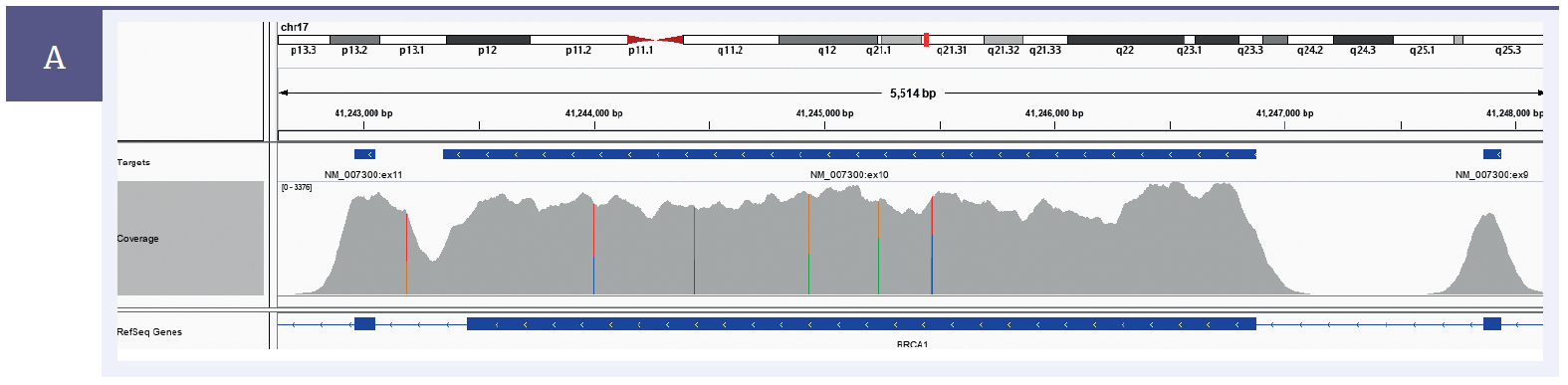 NGS software data showing SureSeq