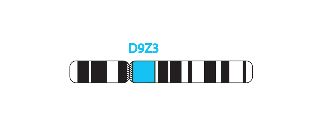Fluorescence in situ hybridization (FISH) chromosome map showing a probe targeting the region 9q12 (D9Z3).