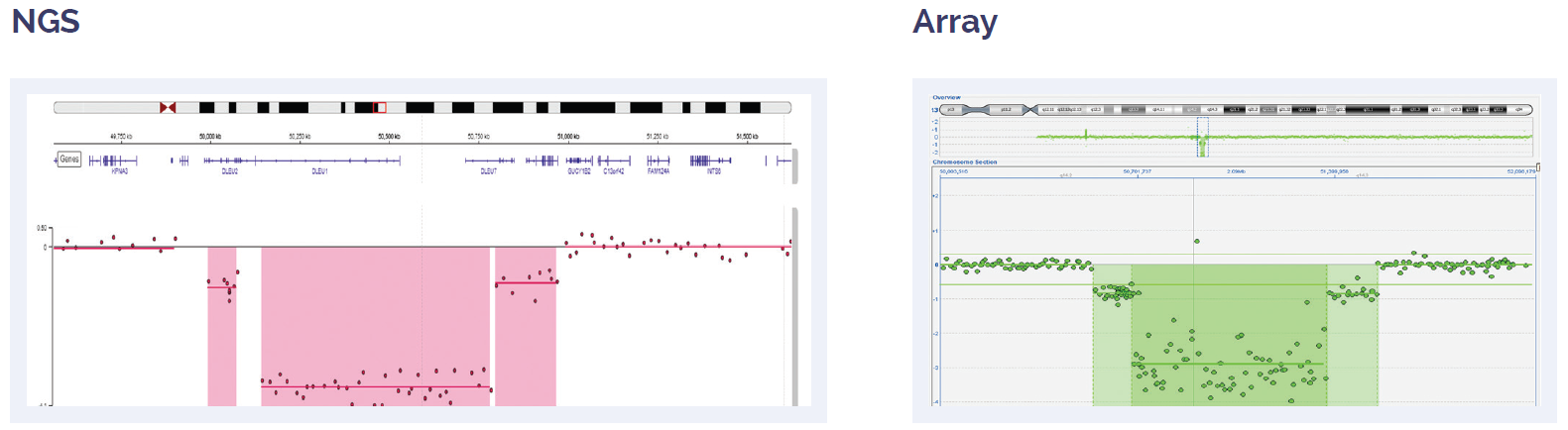 Software data showing the concordance between aCGH and NGS results for a 0.6Mb biallelic loss.