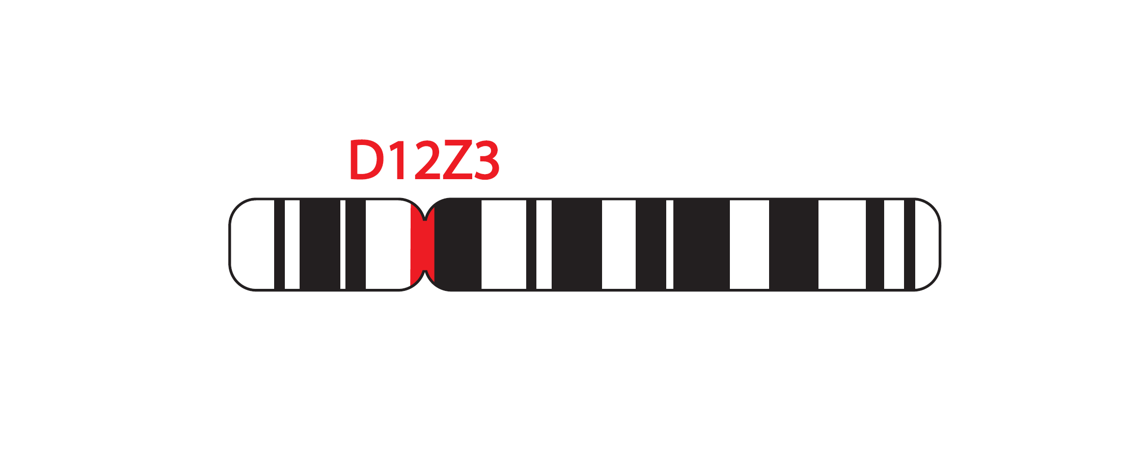 Fluorescence in situ hybridisation (FISH) chromosome map showing a probe targeting the region 12p11.1-q11.1.