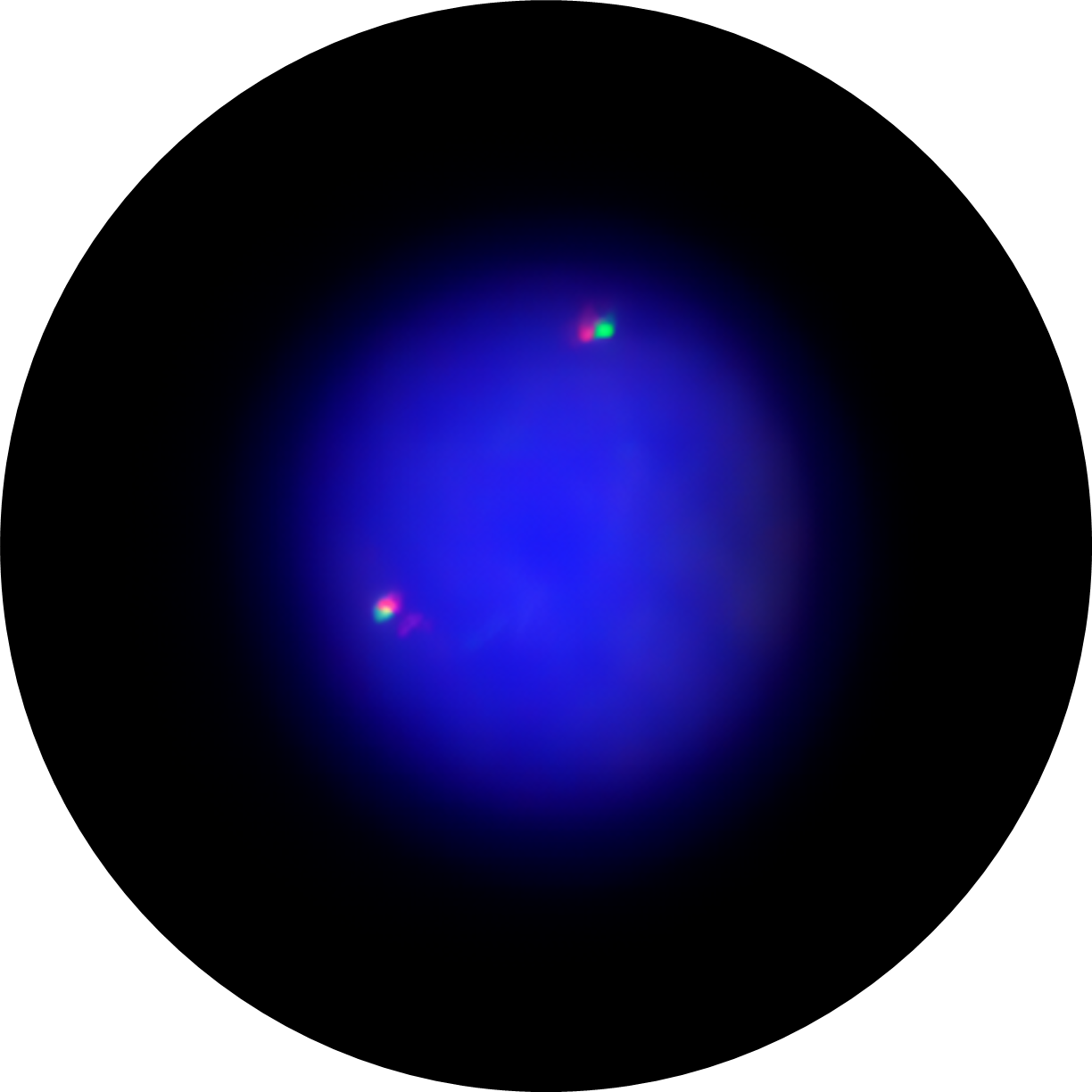 Microscope image Image