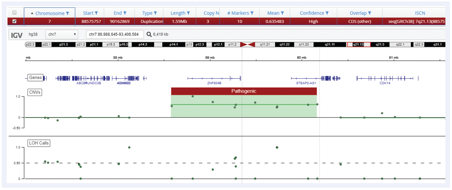 Next generation sequencing (NGS) software data showing a 1.59 Mb duplication on chromosome 7.