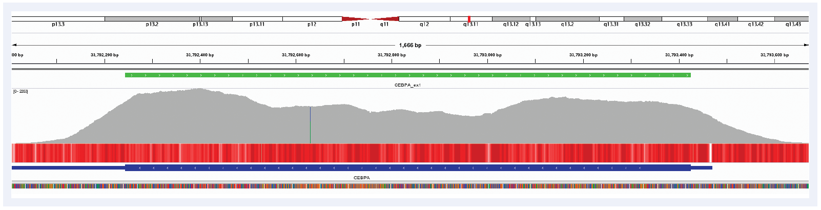 Next generation sequencing (NGS) software data showing SureSeq