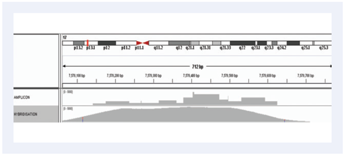 Minimal variation in amplification efficiency