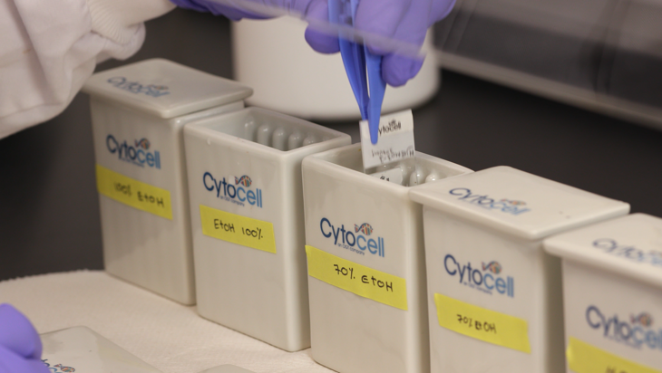CytoCell solid tumour FFPE FISH protocol - Re-hydration (2 minute) Image