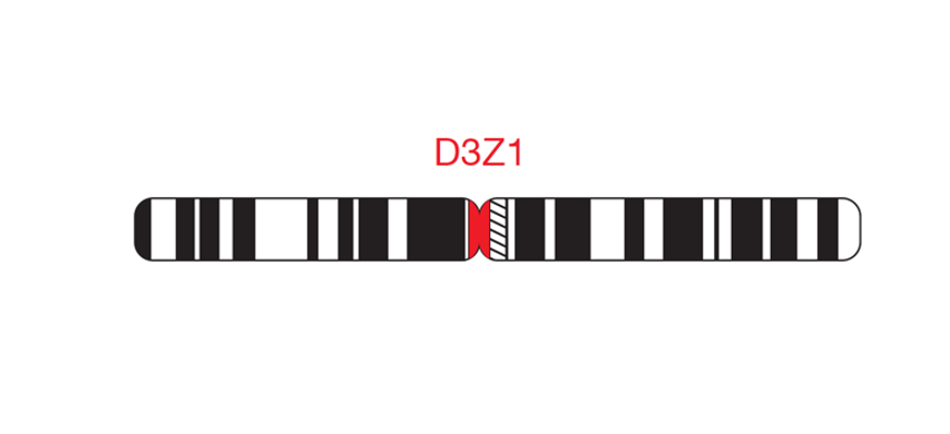 Fluorescence in situ hybridization (FISH) chromosome map showing a probe targeting the region 3cen (D3Z1).