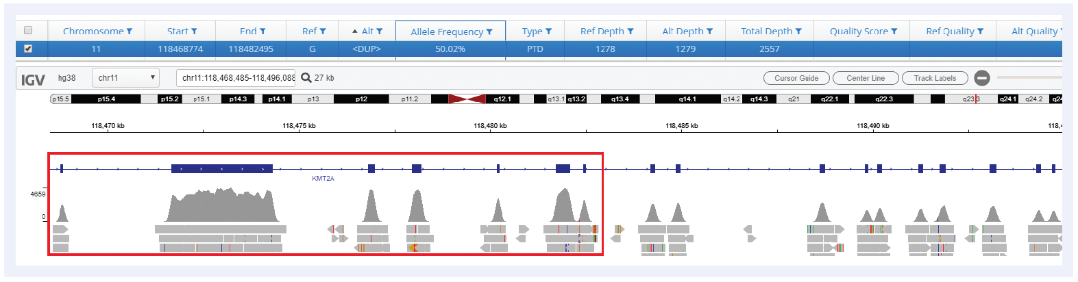 Next generation sequencing (NGS) software data showing a PTD detected spanning exons 2-8 of KMT2A.