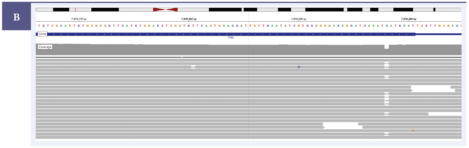 NGS software data showing detection of a TP53 exon 4 frameshift deletion (TP53 c.124del) with frequency 38.9%.