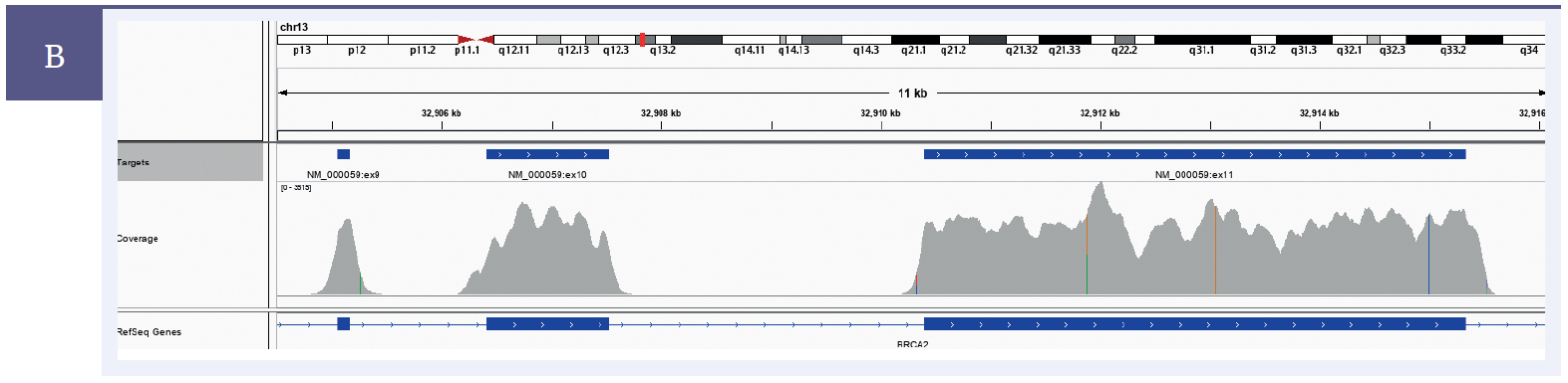 NGS software data showing SureSeq