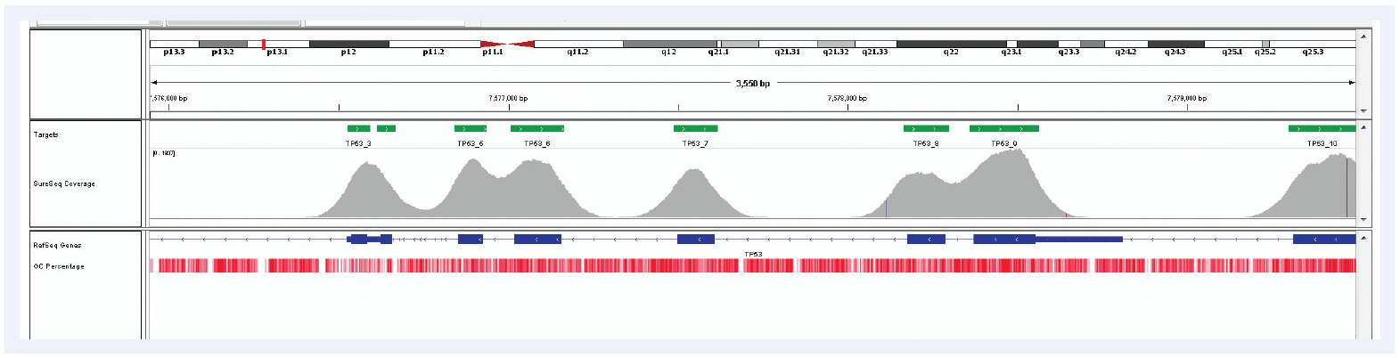 NGS software data showing excellent uniformity of coverage of TP53 exons 3-9 in spite of the high GC content with SureSeq.