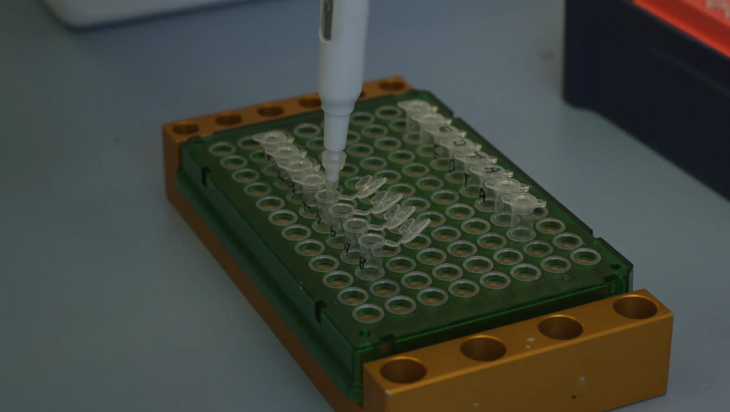 NGS library preparation for solid tumour samples - DNA fragmentation (5 minutes) Image