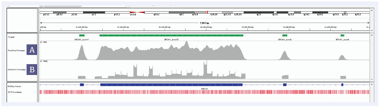 NGS software data showing a coverage comparison between a SureSeq and a Amplicon panel for BRCA1 exons 8, 9, 10 and 11.