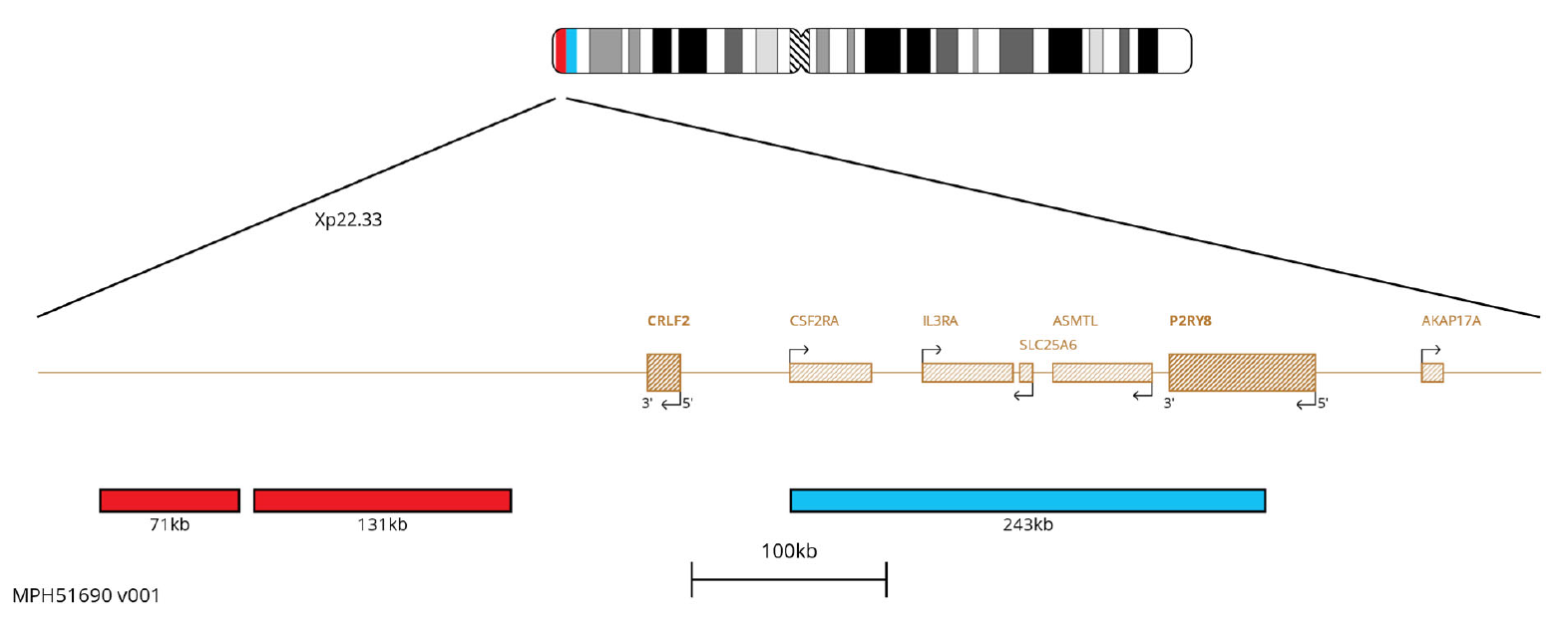 Fluorescence in situ hybridisation (FISH) chromosome map showing probes targeting the CRLF2 and P2RY8 genes.