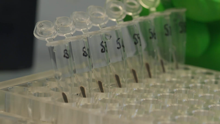 NGS library preparation for solid tumour samples - AMPure beads (7 minutes) Image