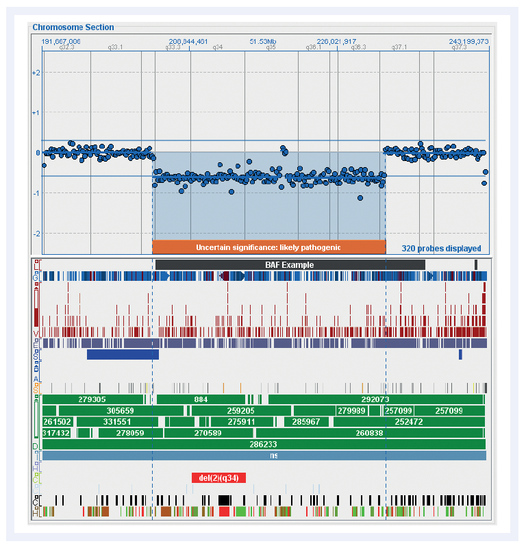 aCGH software data showing how chromosome overviews are clearly displayed when using CytoSure Interpret Software.