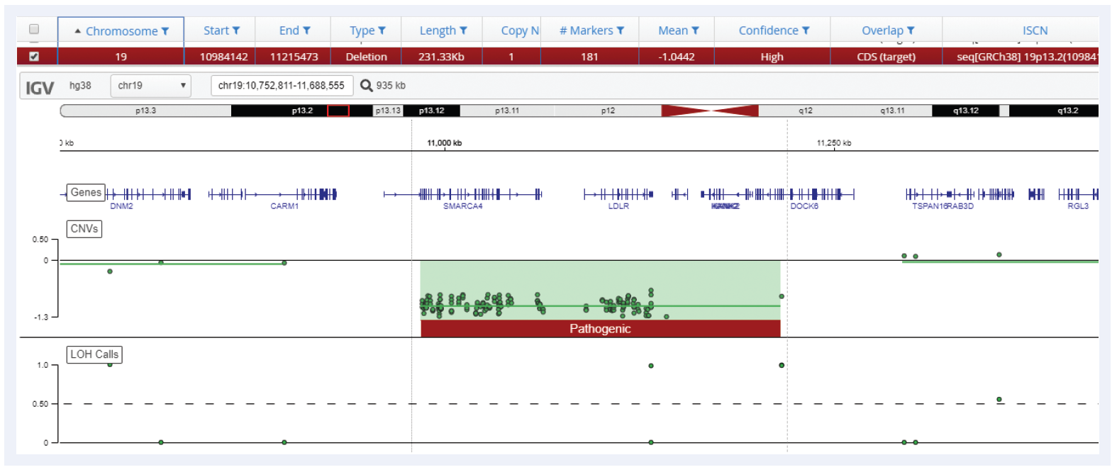 Next generation sequencing (NGS) software data showing a small 231 kb deletion detected on chromosome 19.