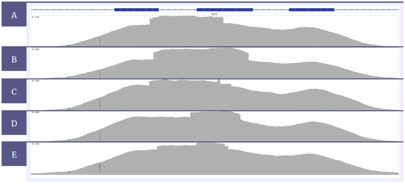 Next generation sequencing (NGS) software data showing that FLT3 ITDs can be confidently detected with SureSeq.