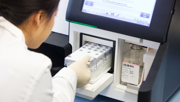NGS Miseq Run