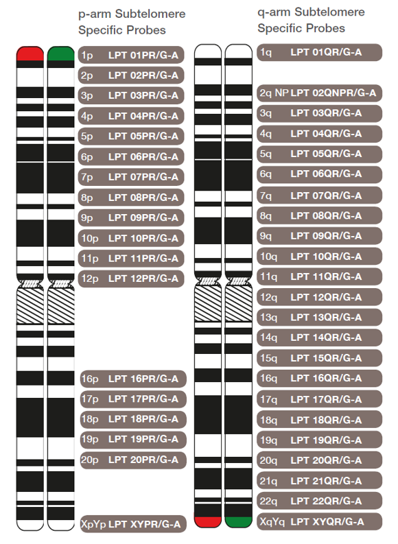 The chromosomal location of p-arm and q-arm CytoCell Subtelomere Specific FISH probes.
