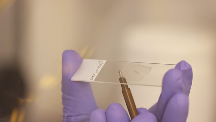 CytoCell solid tumour FFPE FISH protocol - De-paraffinisation (1 minute) Image