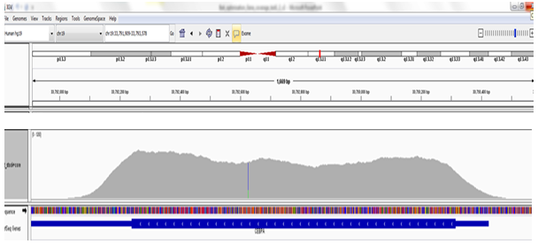 NGS software data showing the superior coverage uniformity of OGT bait design when sequencing the CEBPA gene.