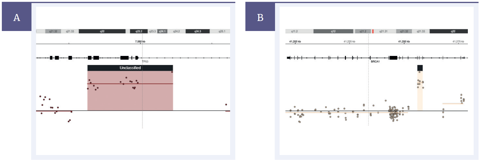 Next generation sequencing (NGS) software data showing detection of germline duplications in TP53 and BRCA1.